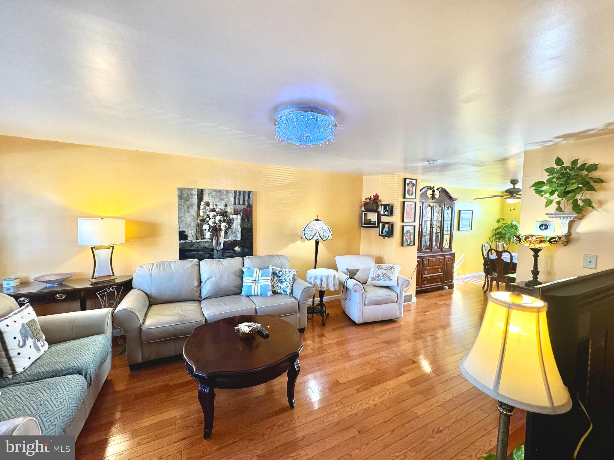 7243 Large Street Philadelphia, PA 19149 - Photo 3 of 53