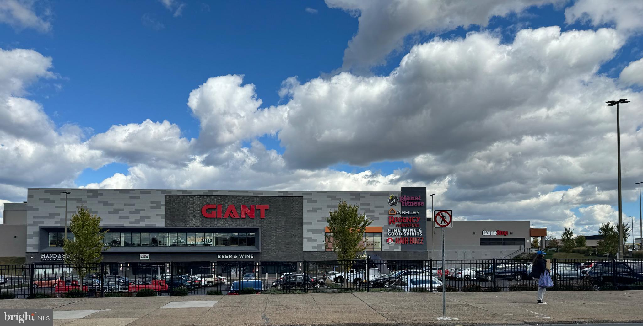 7243 Large Street Philadelphia, PA 19149 - Photo 49 of 53