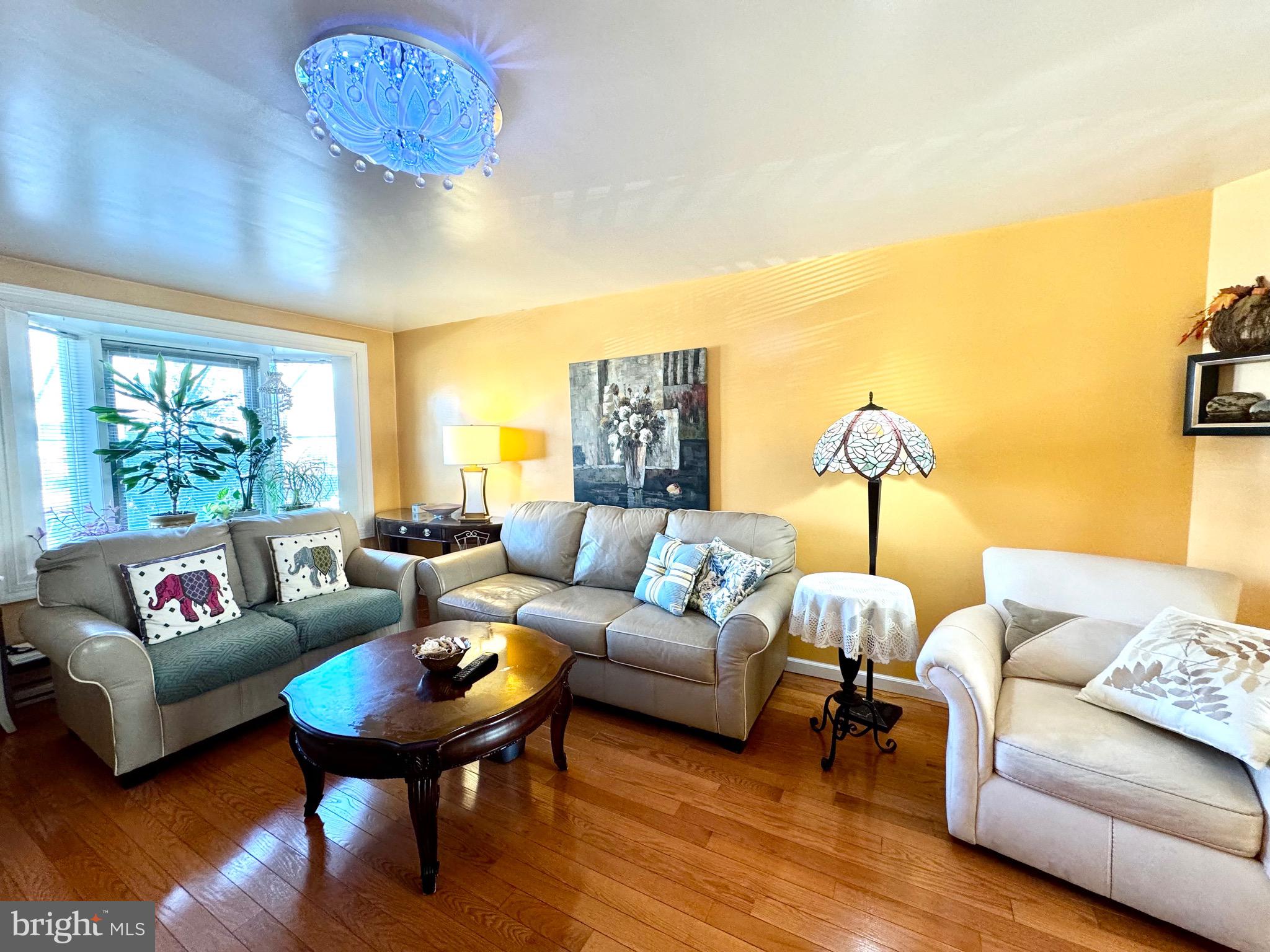 7243 Large Street Philadelphia, PA 19149 - Photo 5 of 53