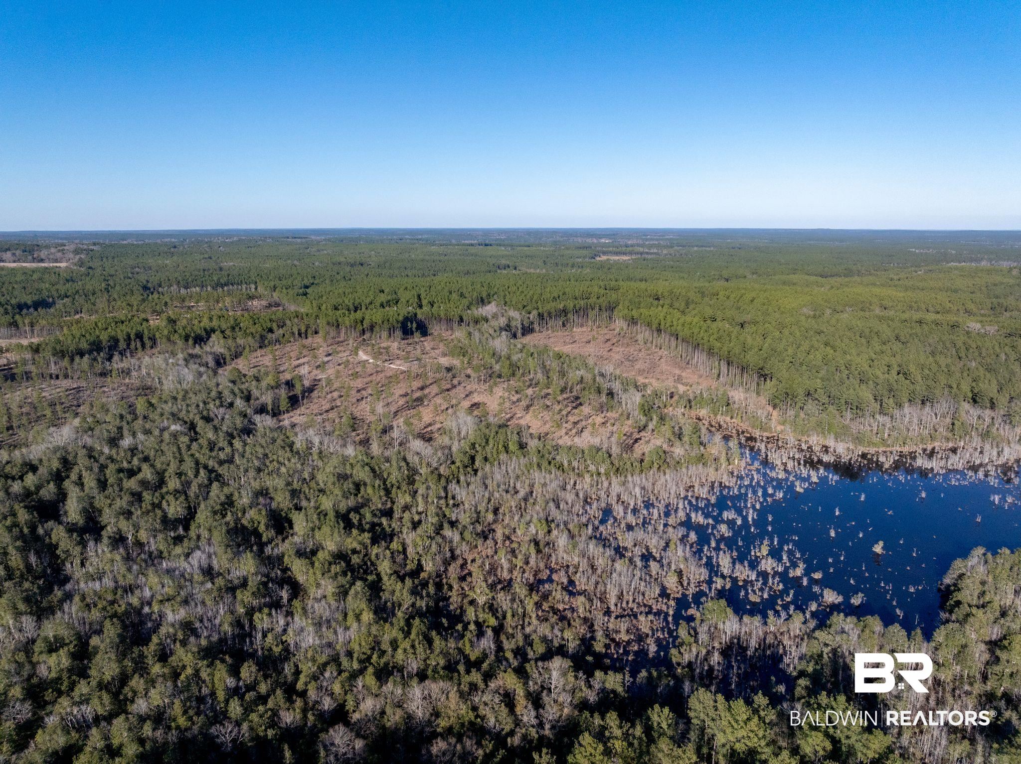 3 Beverly Jeffries Highway Citronelle, AL 36522 - Photo 2 of 4