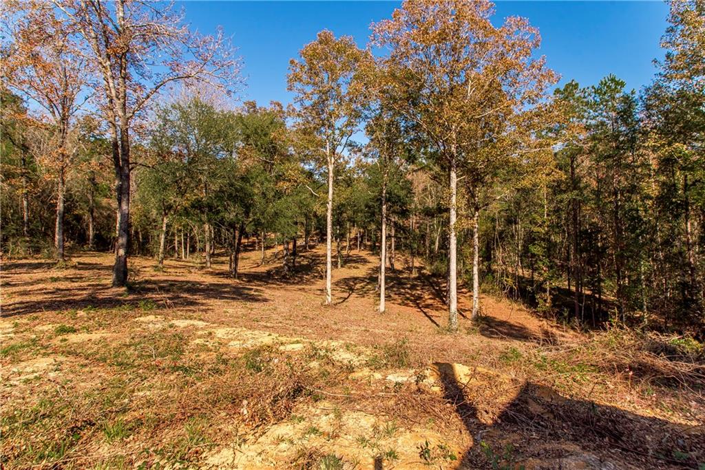 85 Baughman Road Poplarville, MS 39470 - Photo 25 of 27