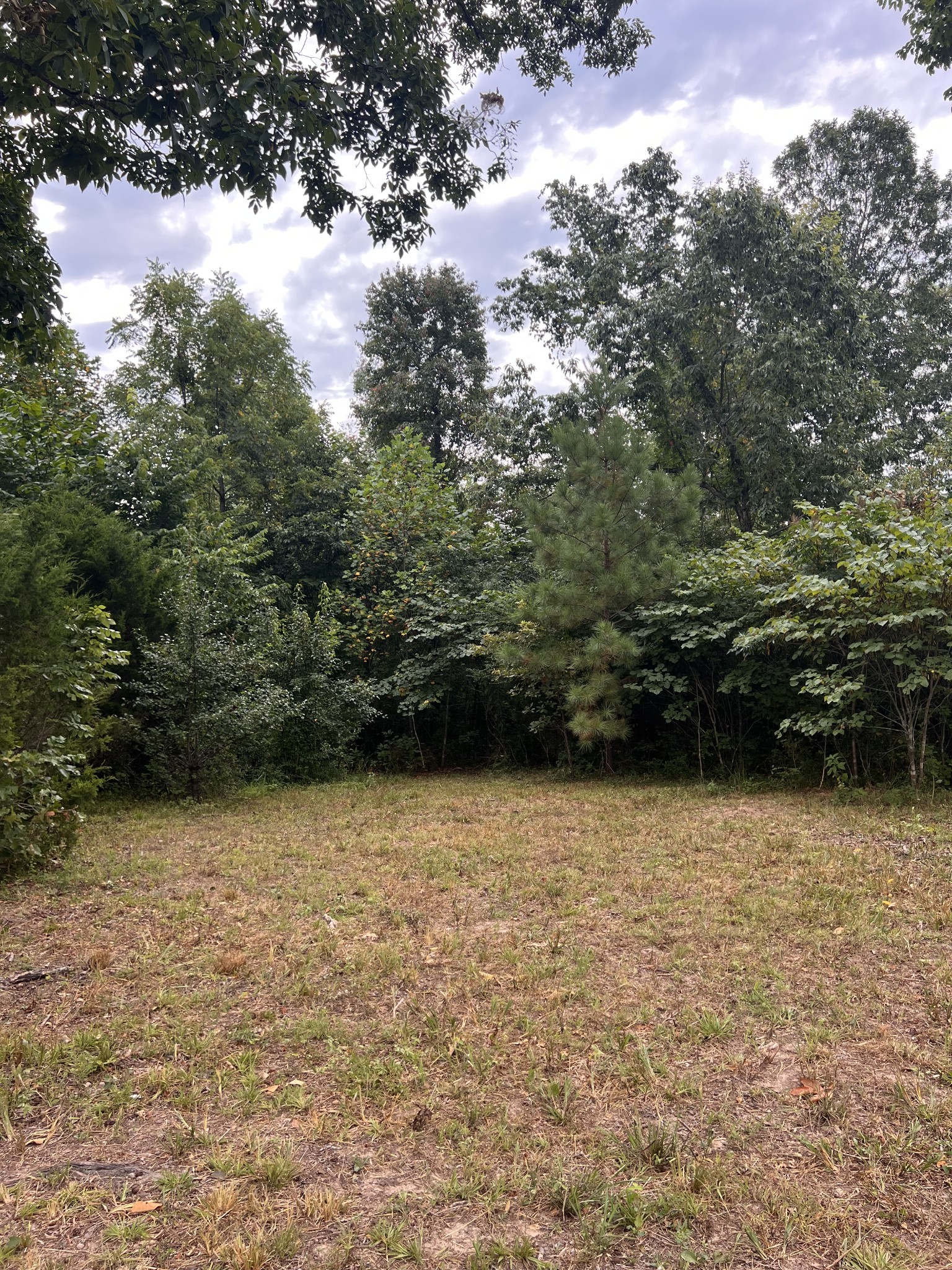 0 High Rise Drive Lyles, TN 37098 - Photo 7 of 19