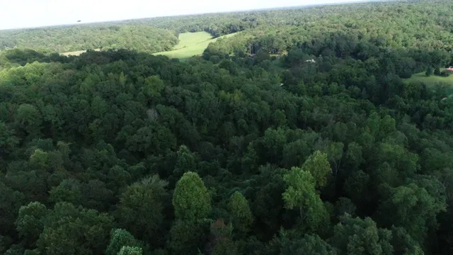 an aerial view of residential house with green space