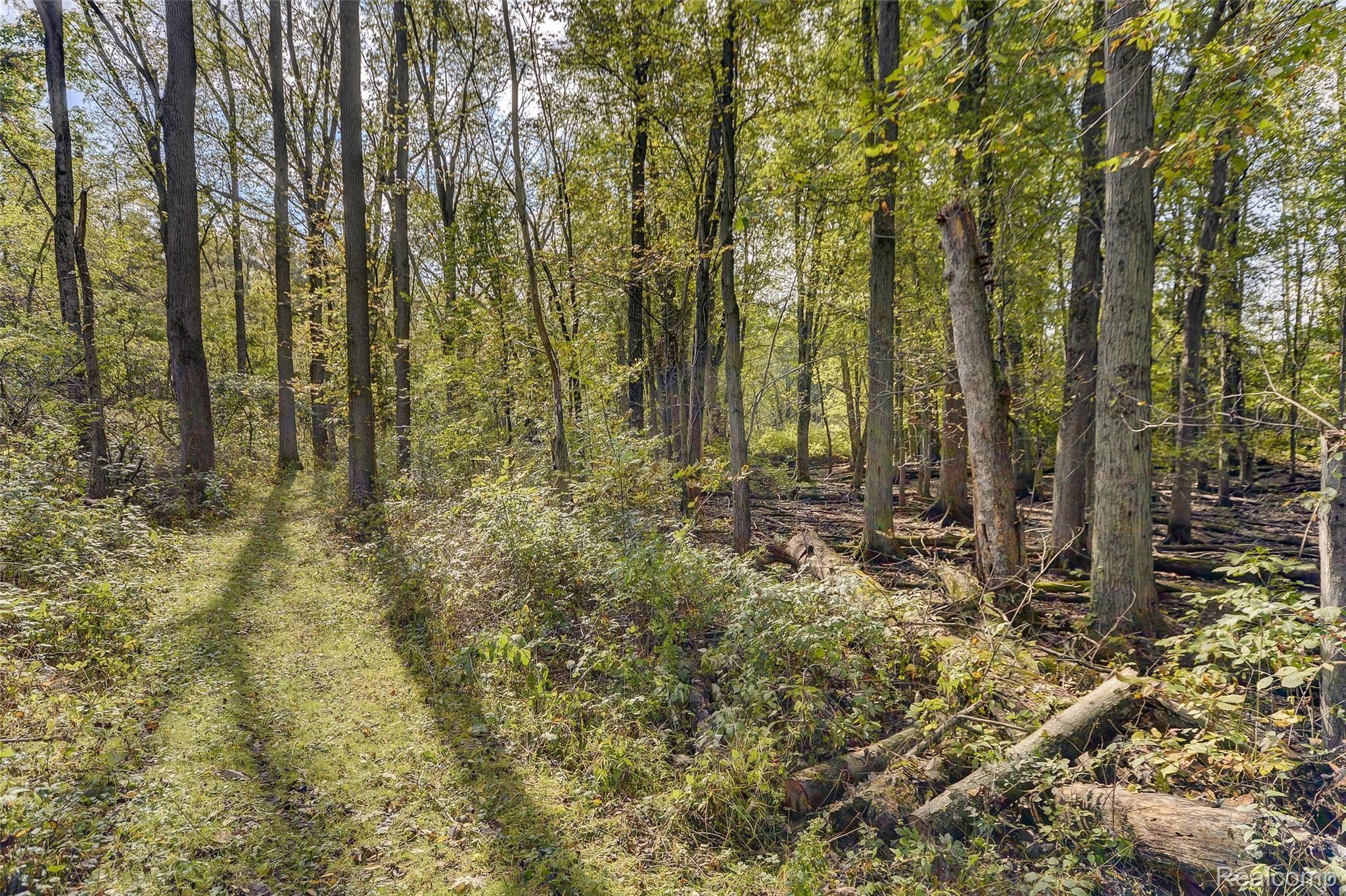 13923 Sheridan Road Manchester, MI 48158 - Photo 47 of 60 Sheridan_50.jpg