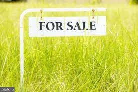 Lot 16 Redden Road Bridgeville, DE 19933 - Photo 1 of 1 Gallery Image 1
