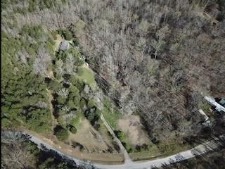 a view of a yard in a forest