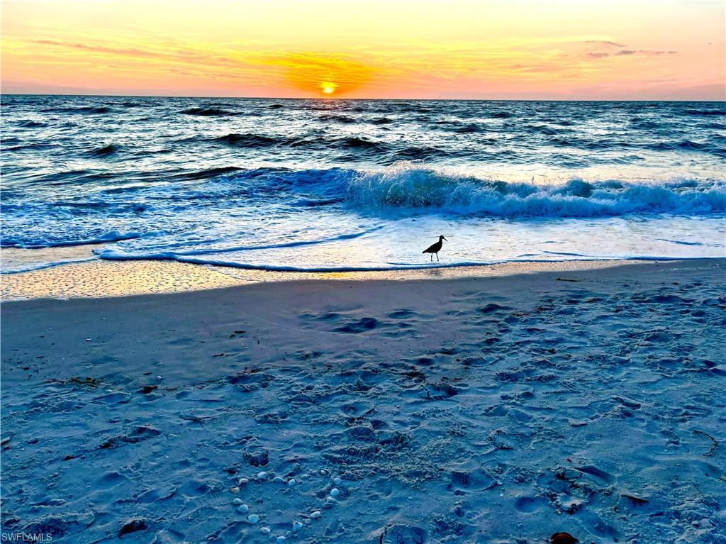 1435 Curlew Avenue, Unit 1 Naples, FL 34102 - Photo 16 of 19 a view of an ocean beach