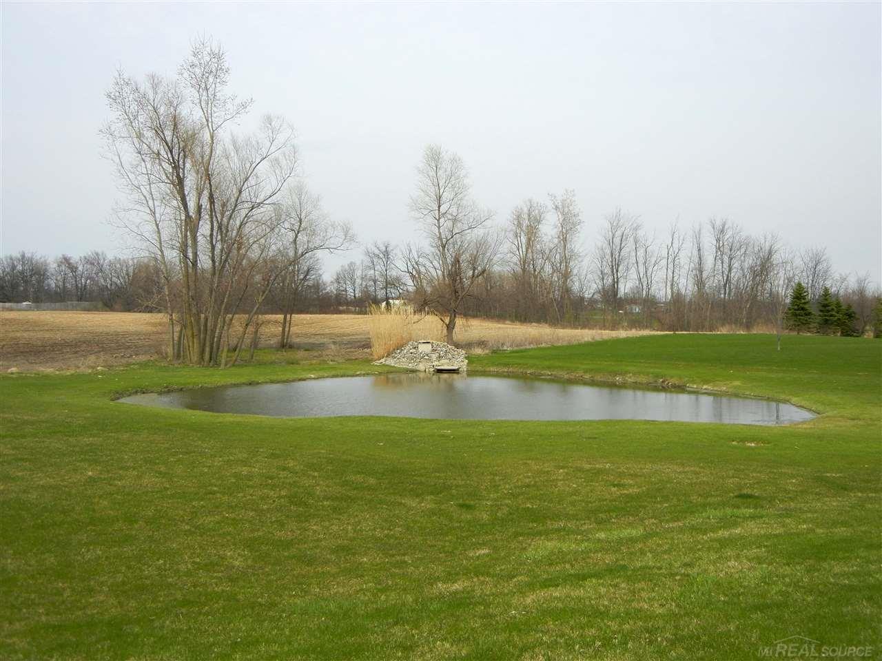 4395 Hibbard Road Corunna, MI 48817 - Photo 30 of 37 31288206-29.JPG