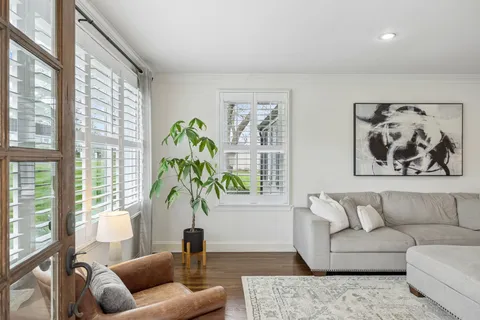 a living room with furniture and a potted plant