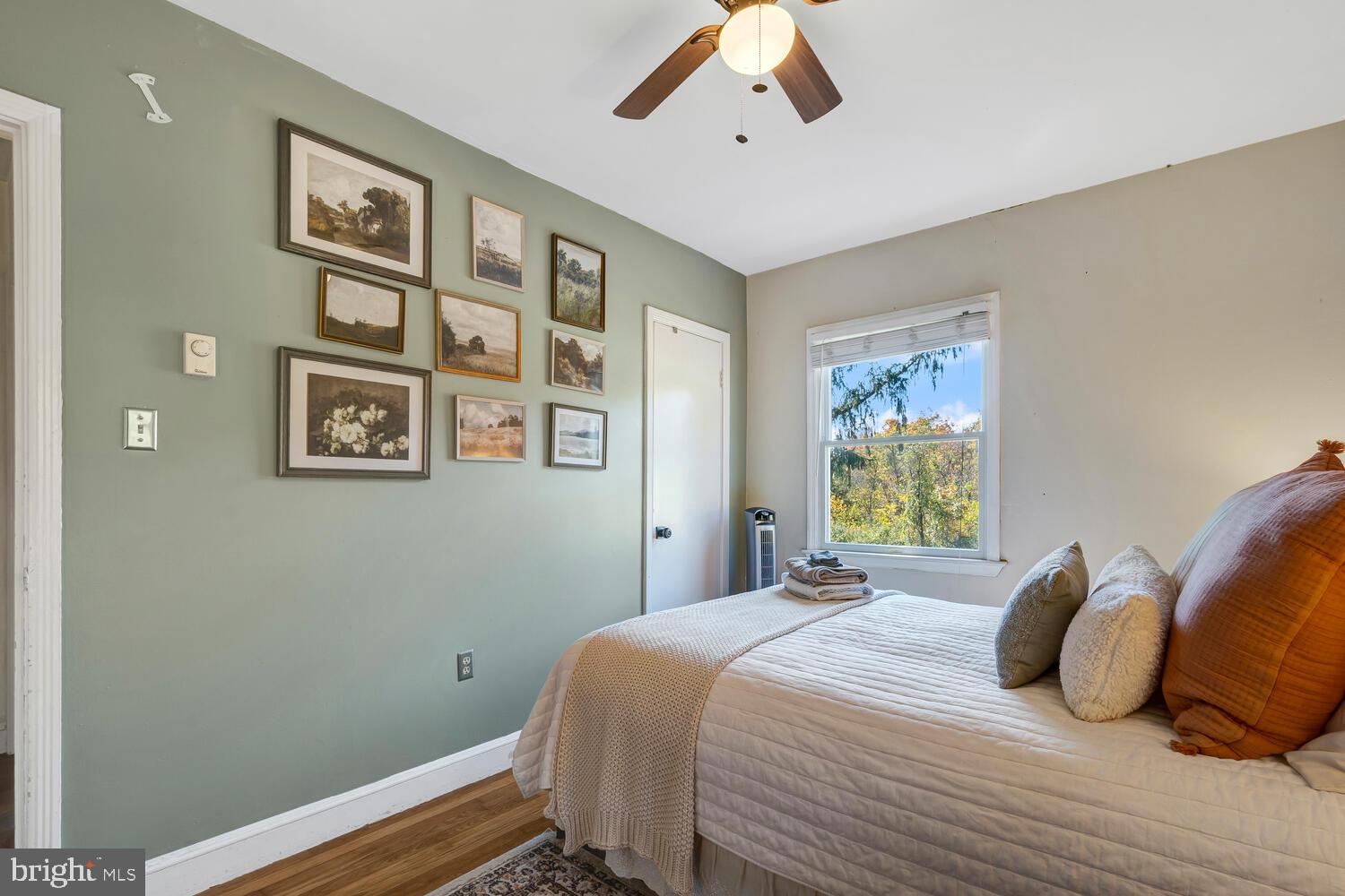 6235 South Page Valley Road Luray, VA 22835 - Photo 50 of 52 Serene bedroom with artful charm.