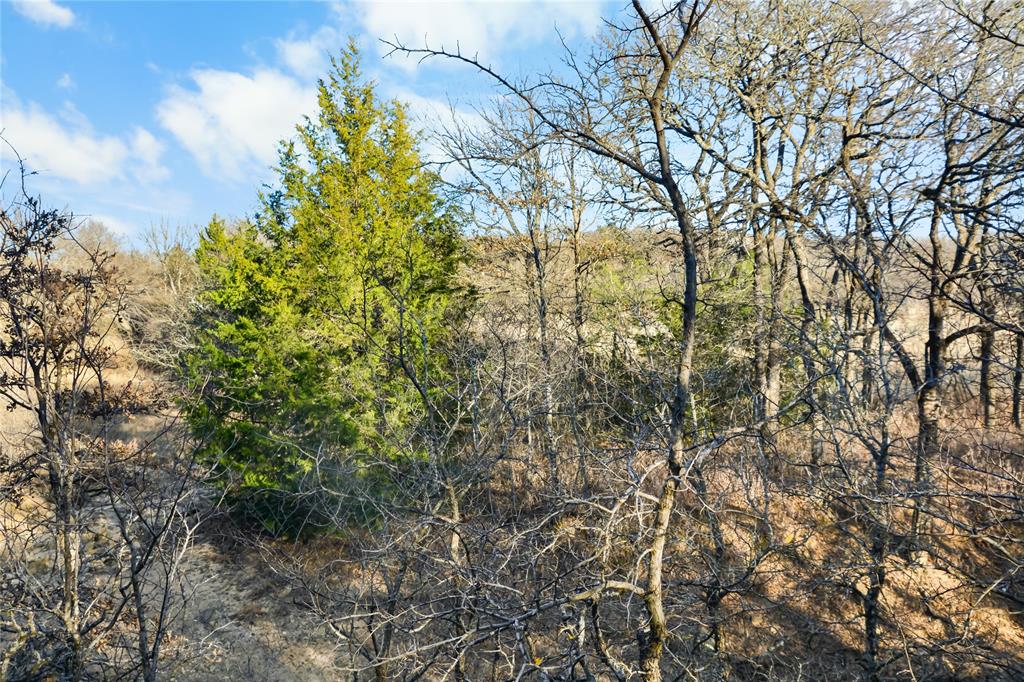 232 Silver Lakes Drive Sunset, TX 76270 - Photo 11 of 22 Hardwoods throughout the lot