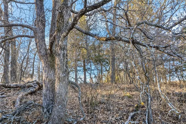 $140,000 | 232 Silver Lakes Drive, Sunset, TX 76270