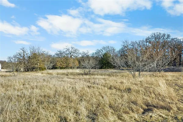 a view of a yard with trees in the background