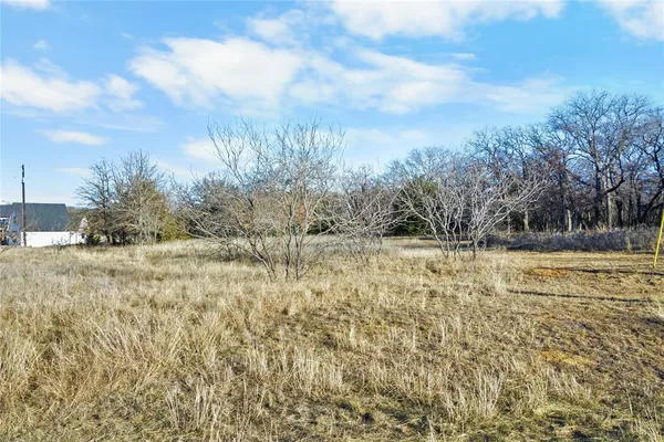 a view of a yard with an trees