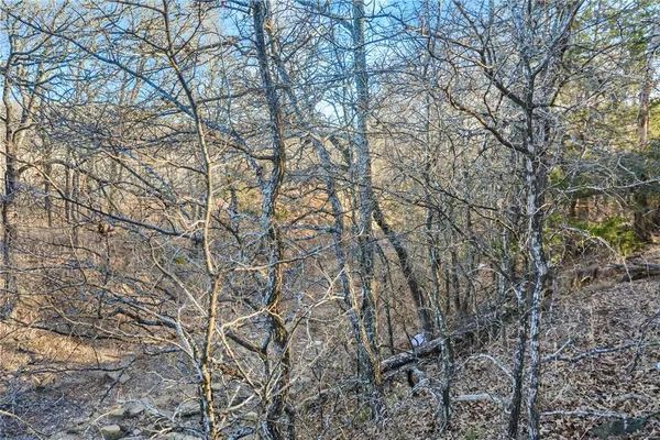 a backyard of a house with lots of trees