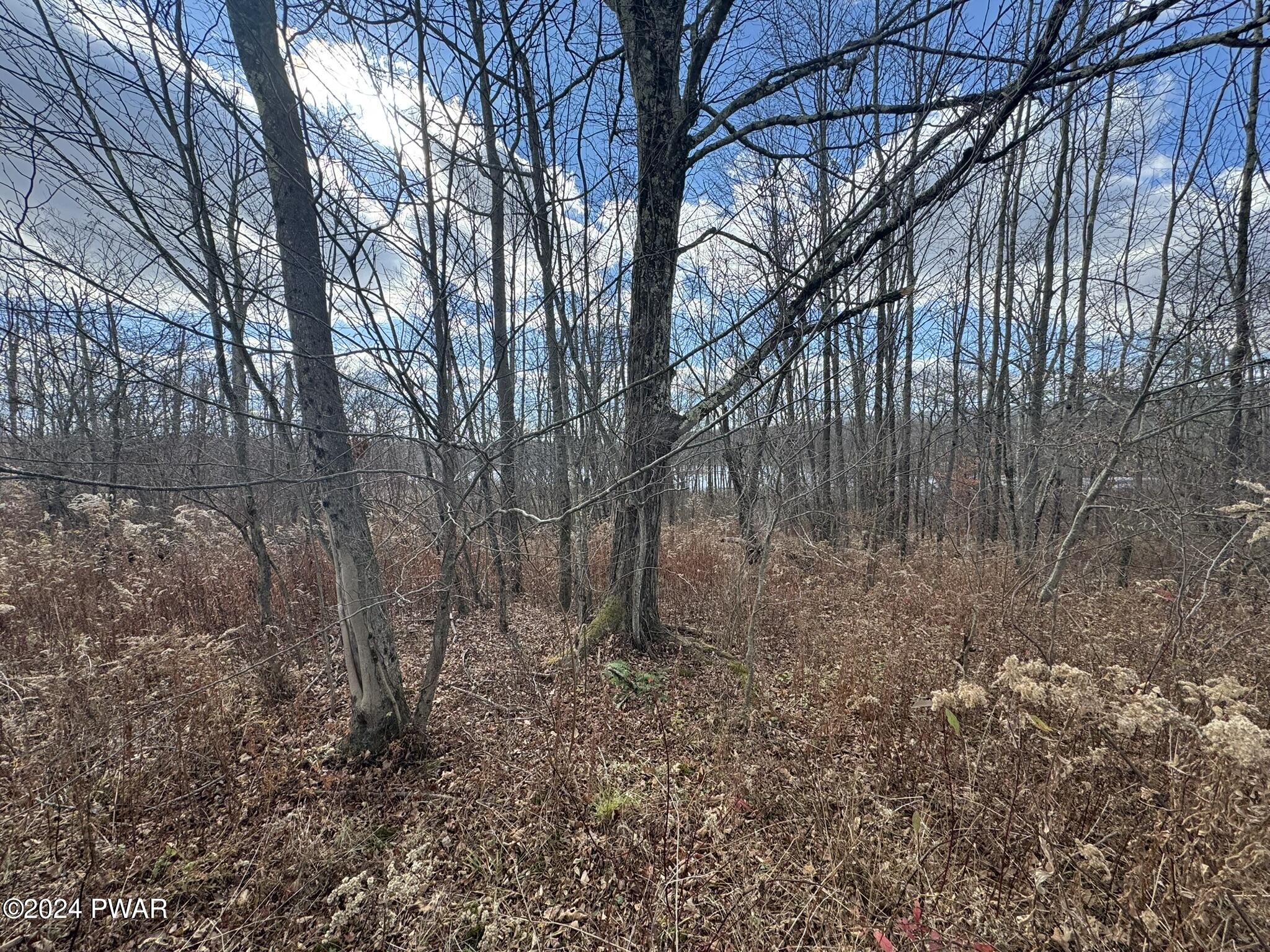402 Jubinsky Road Waymart, PA 18472 - Photo 3 of 30 9.5 Acres Fields/Wooded