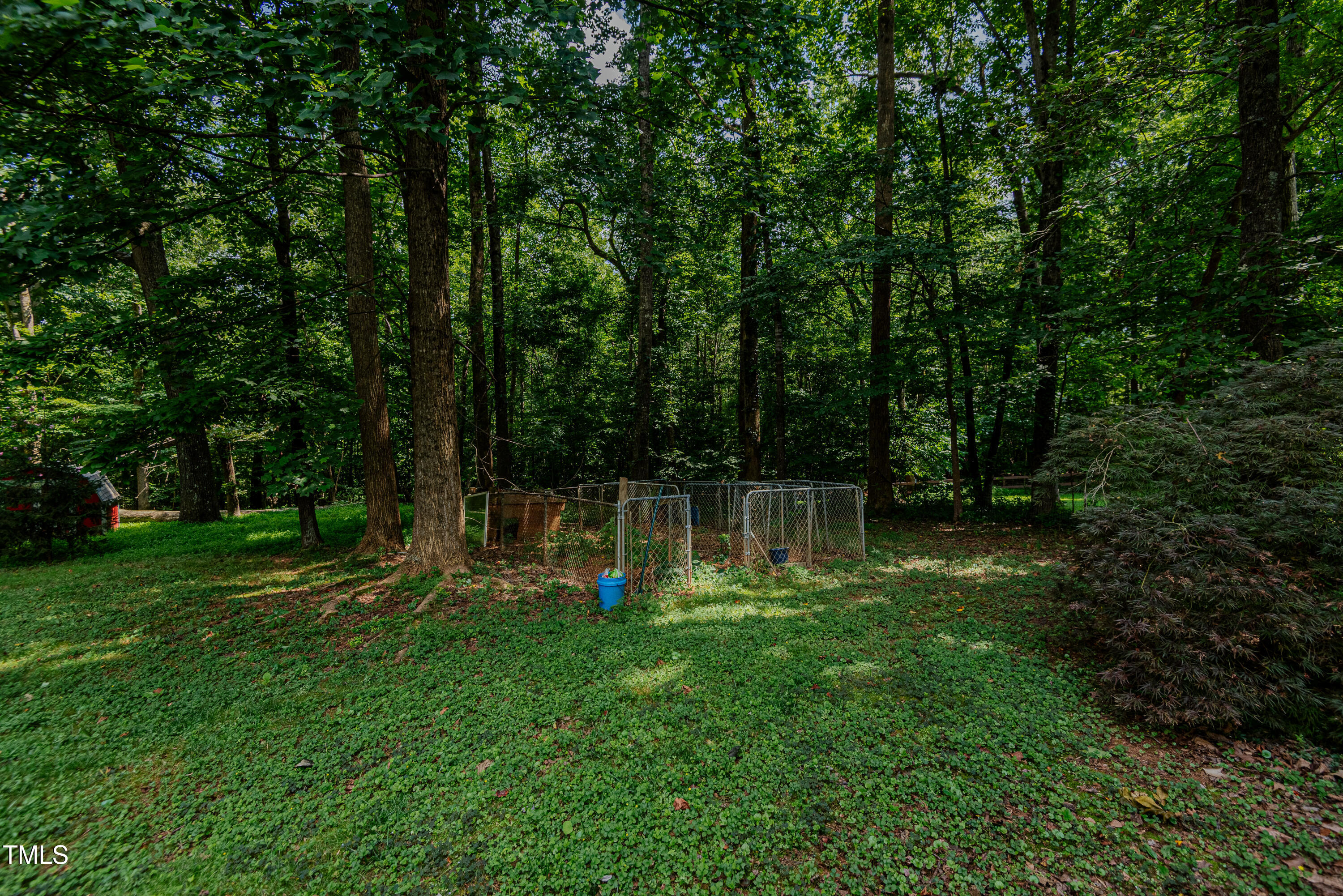 1619 East Greensboro Chapel Hill Road Graham, NC 27253 - Photo 27 of 37 Backyard