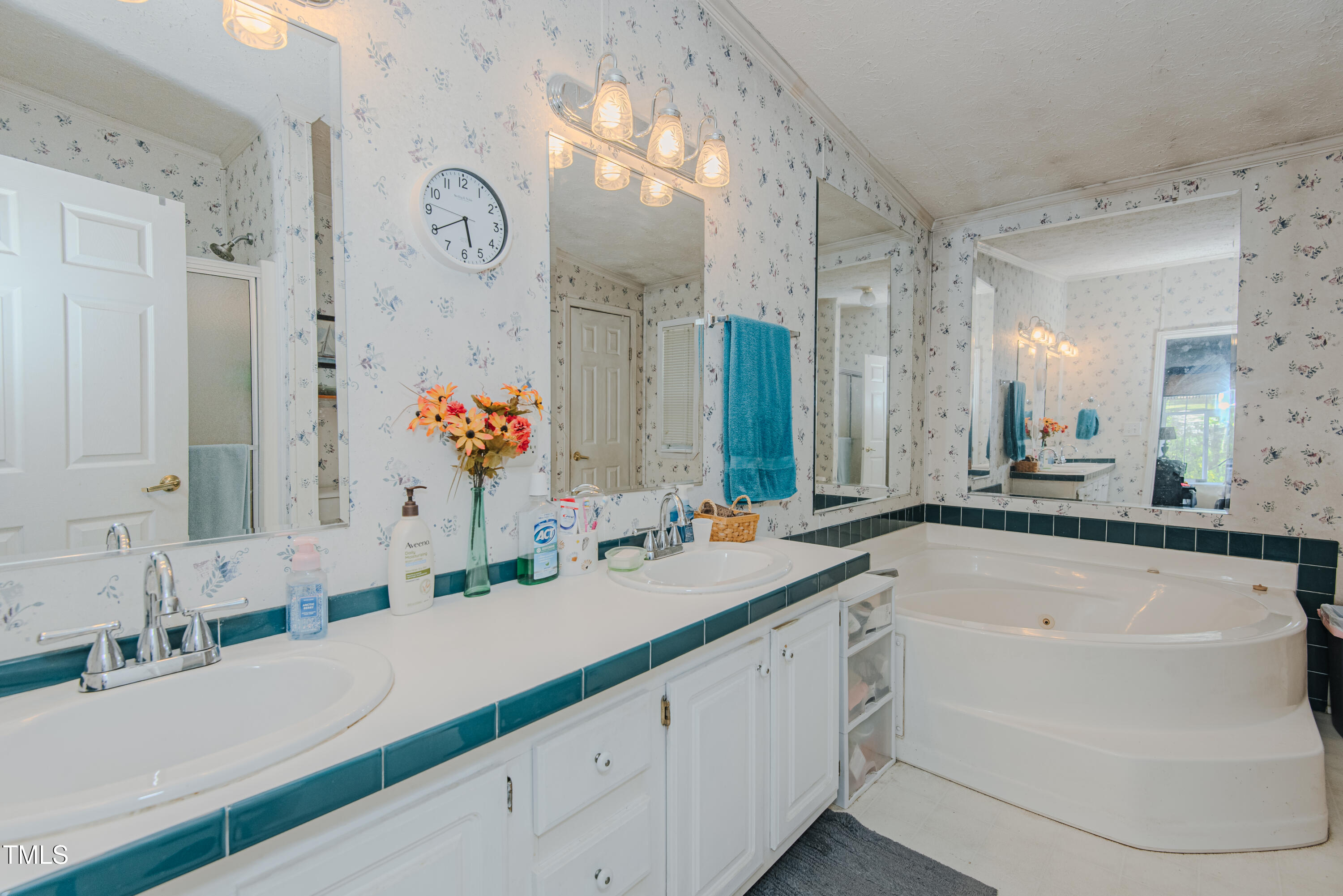 1619 East Greensboro Chapel Hill Road Graham, NC 27253 - Photo 8 of 37 Primary Bathroom