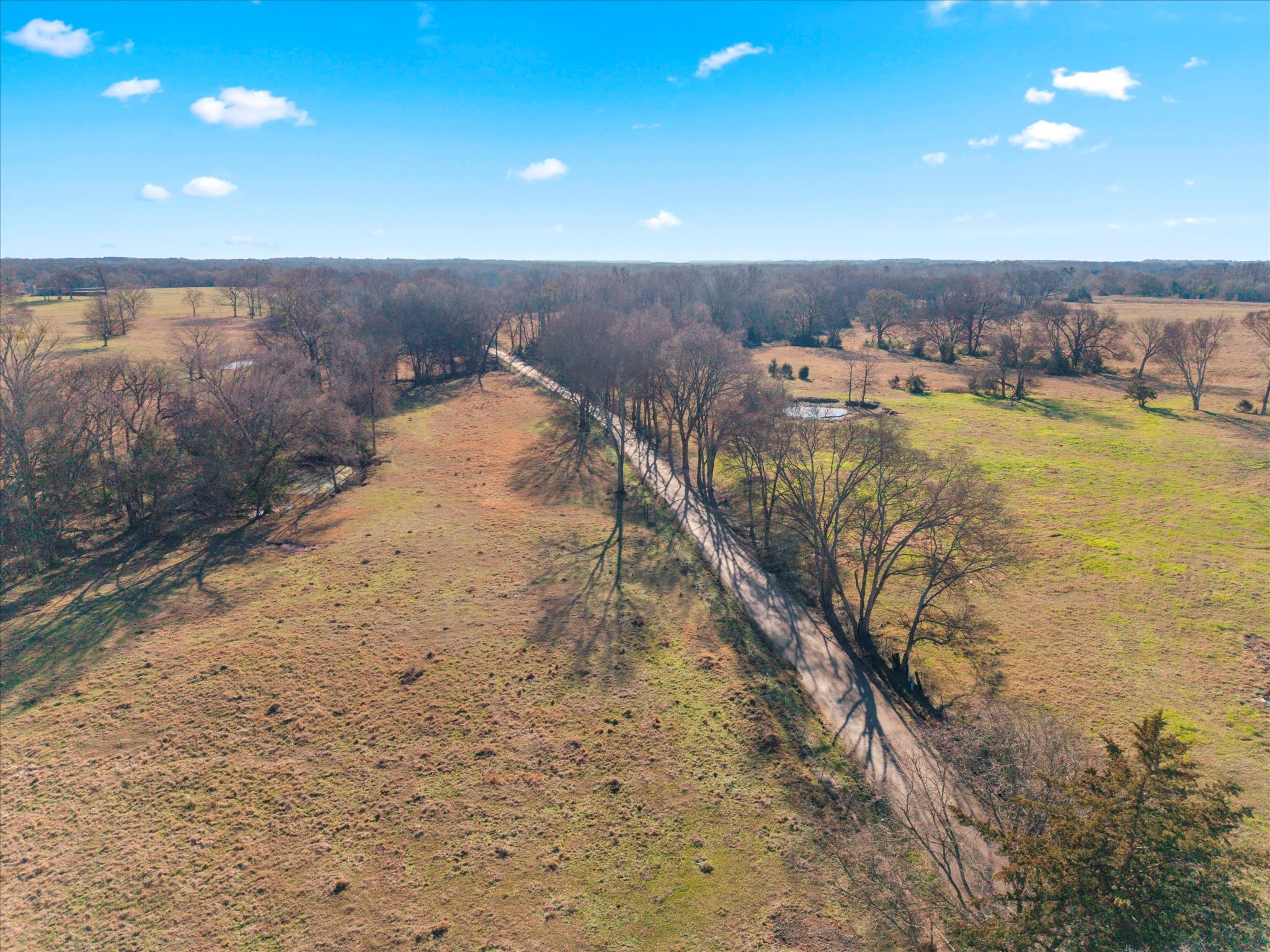 4315 County Road Omaha, TX 75571 - Photo 12 of 19