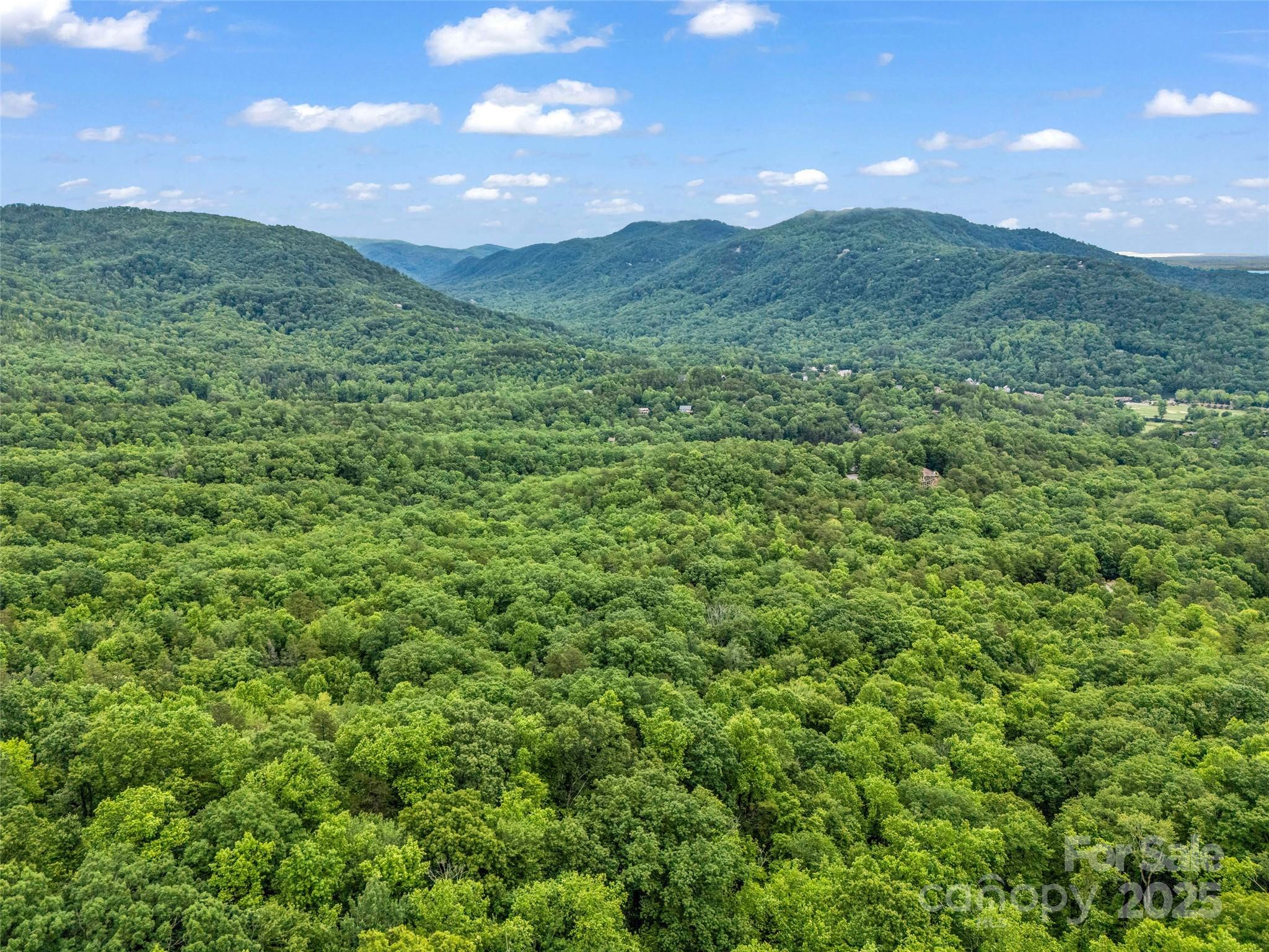 0 Quail Ridge Road, Unit 214 Tryon, NC 28782 - Photo 12 of 38
