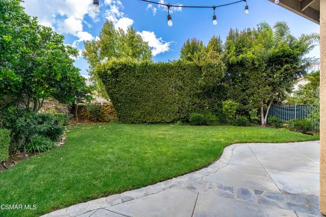 a view of a park with large trees