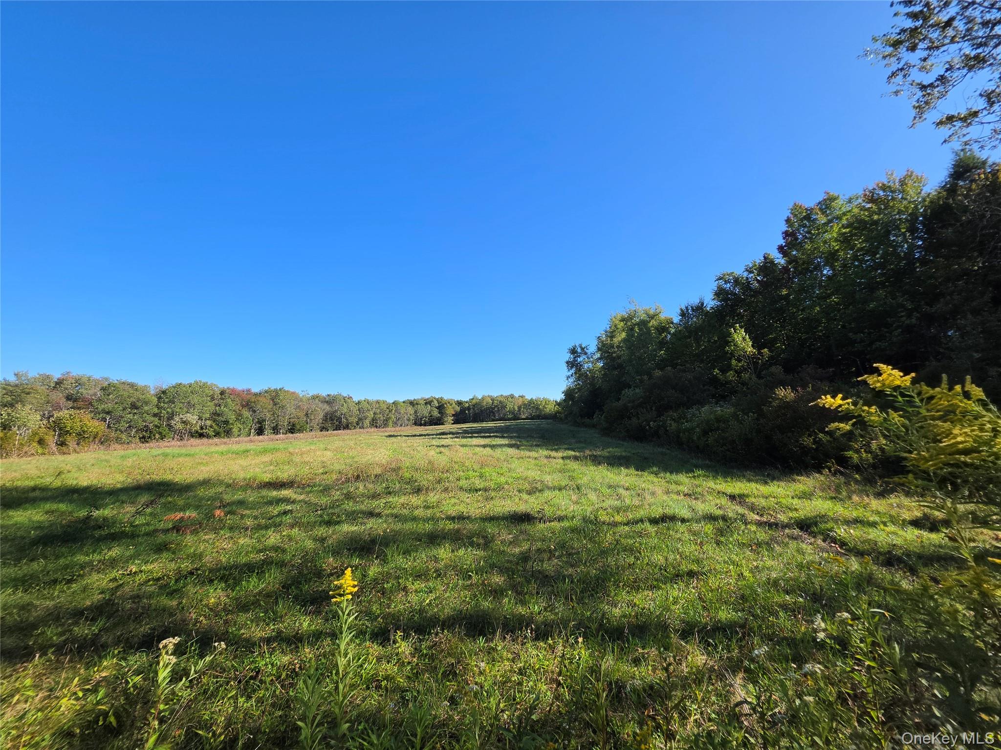 Tbd Lily Pond Road Parksville, NY 12768 - Photo 4 of 31 Gallery Image 4
