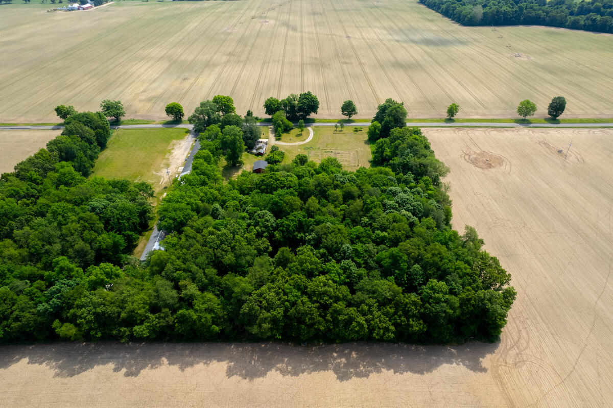 55686 Parkville Road Mendon, MI 49072 - Photo 31 of 32 55686-Parkville-Rd-Mendon-MI-49072-3