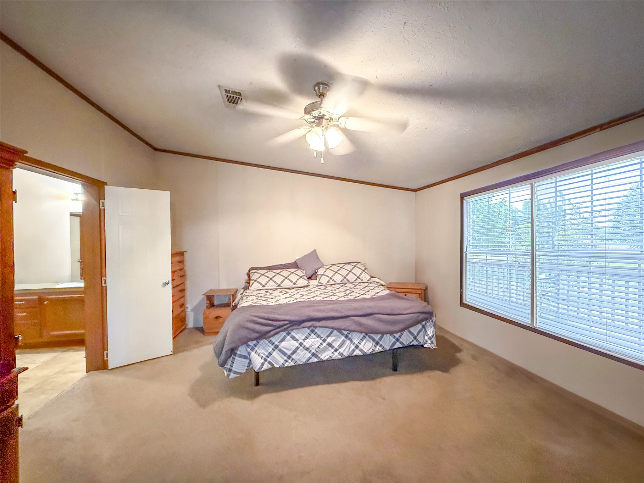 845 Caldwell Street Lexington, TX 78947 - Photo 8 of 39 Primary Bedroom with light carpet, ornamental molding, ceiling fan, and connected bathroom
