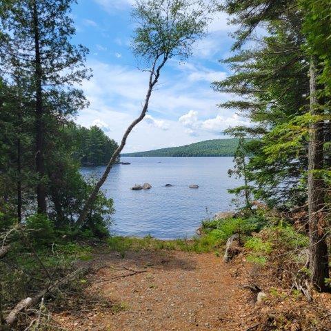 T4 Wadleigh Pond Road Millinocket, ME 04462 - Photo 4 of 38 Boat launch and beech