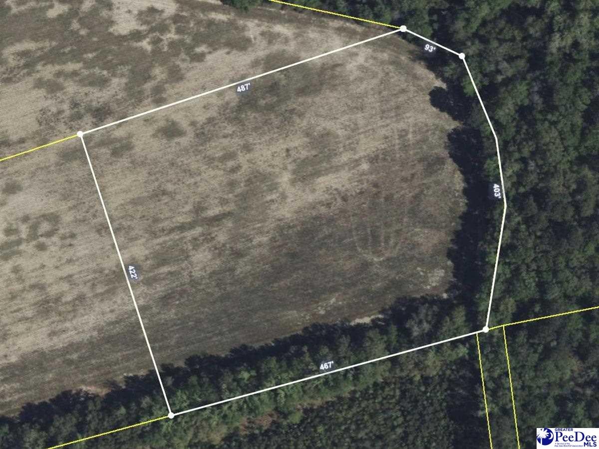5 Off Flinn Road Manning, SC 29102 - Photo 12 of 13 Gallery Image 12