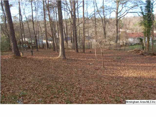 20 Lori Lane Springville, AL 35146 - Photo 4 of 23