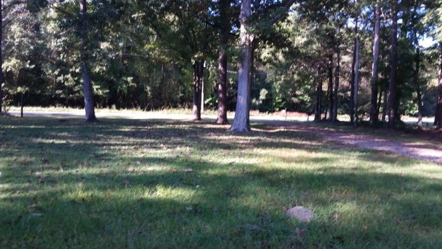 155 McGowan Road Bath, NC 27808 - Photo 3 of 24 Additional Photo