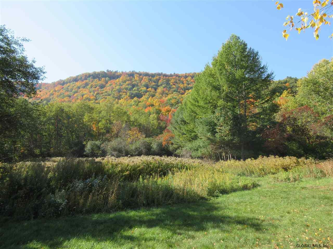 445 Picard Road New Scotland, NY 12009 - Photo 24 of 25 Photo 24
