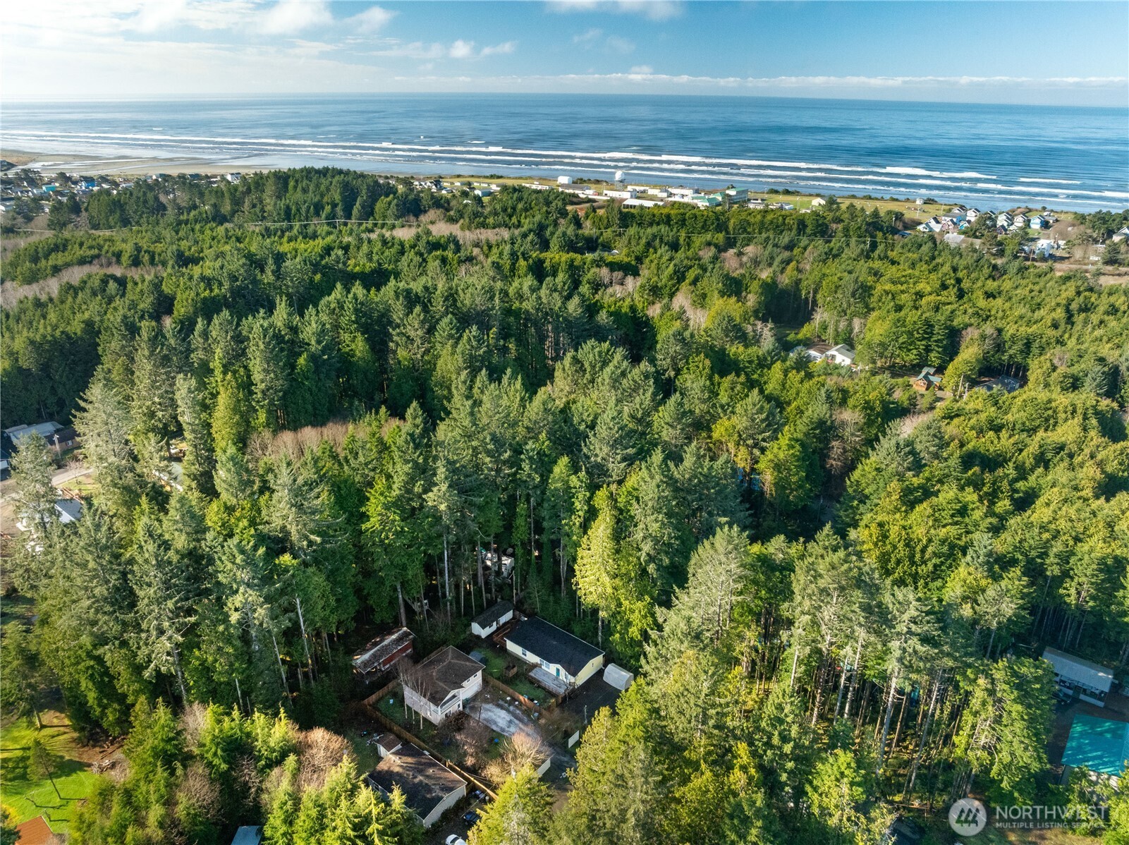 48 Robin Lane Pacific Beach, WA 98571 - Photo 33 of 36 a view of an outdoor space and a lake view