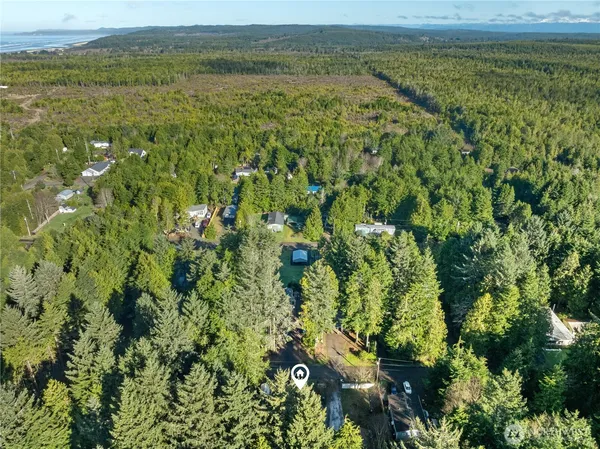 an outdoor view of garden