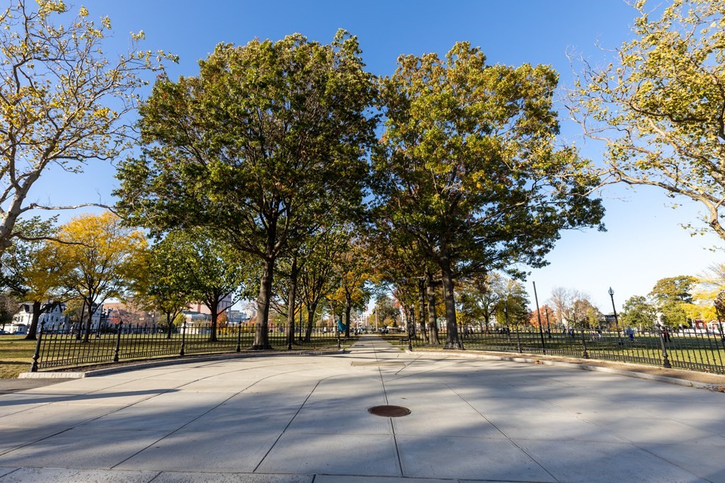 66 N Street, Unit 6 Boston, MA 02127 - Photo 25 of 25