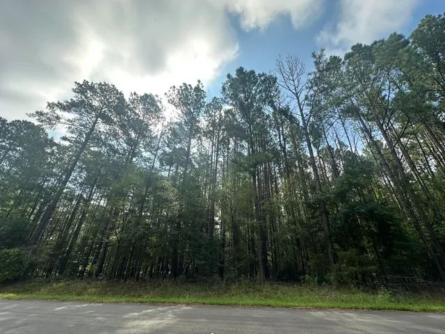 $194,900 | Lot 1 Dogwood Lane, Plum Branch, SC 29845