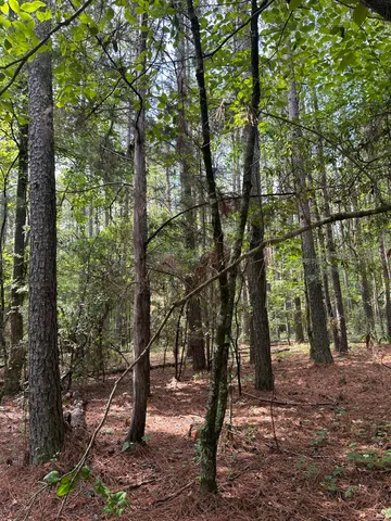$194,900 | Lot 1 Dogwood Lane, Plum Branch, SC 29845