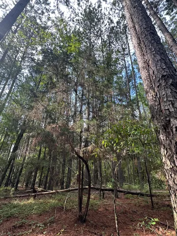 $194,900 | Lot 1 Dogwood Lane, Plum Branch, SC 29845