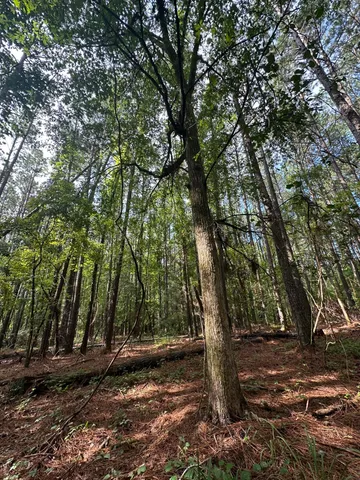 $194,900 | Lot 1 Dogwood Lane, Plum Branch, SC 29845