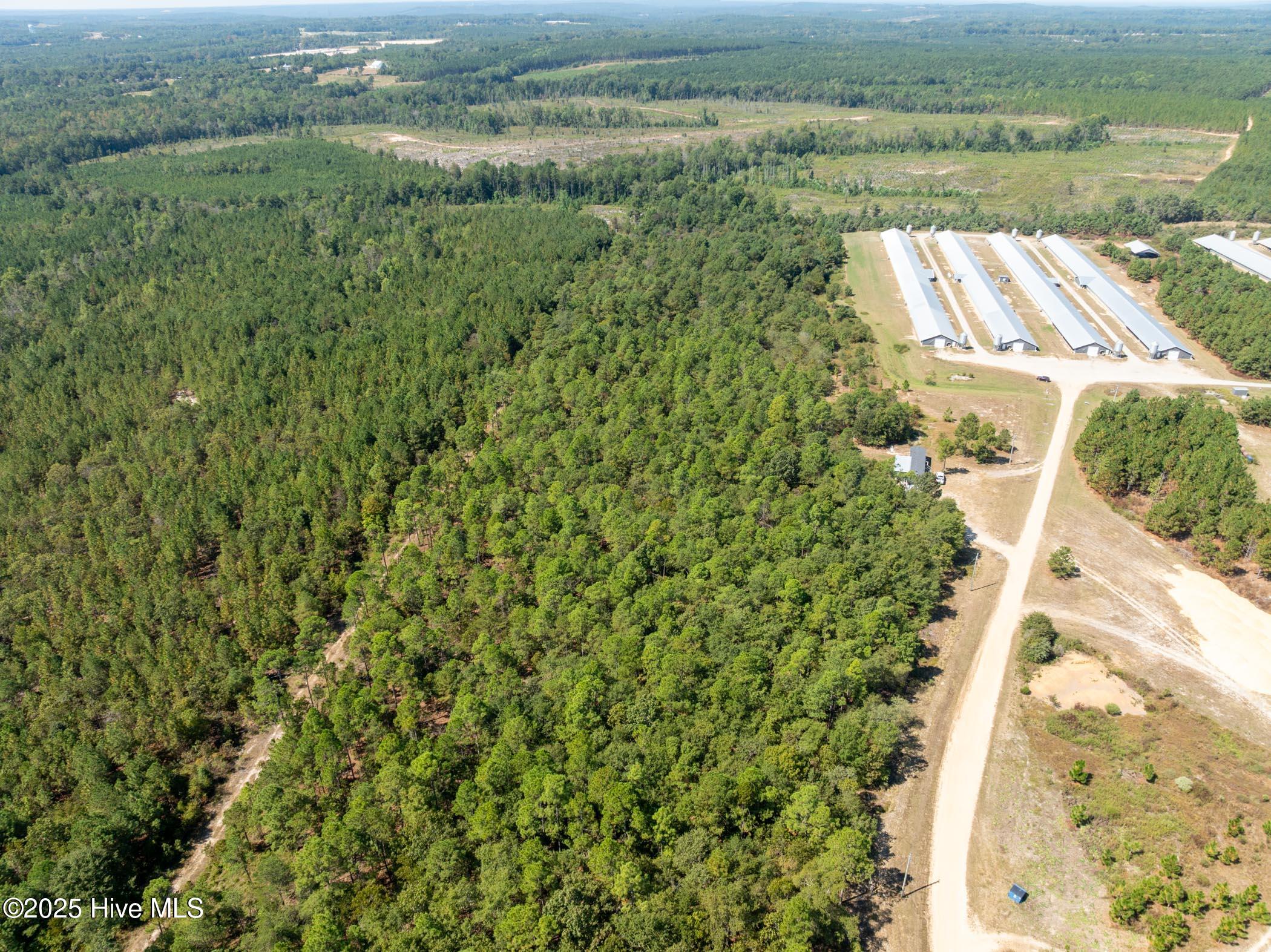 3 Green Lake Road Ellerbe, NC 28338 - Photo 7 of 18 DJI_0613