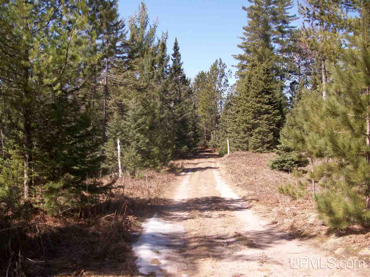 30.5 Rd Perkins Mi 49872 Road Gladstone, MI 49837 - Photo 2 of 5