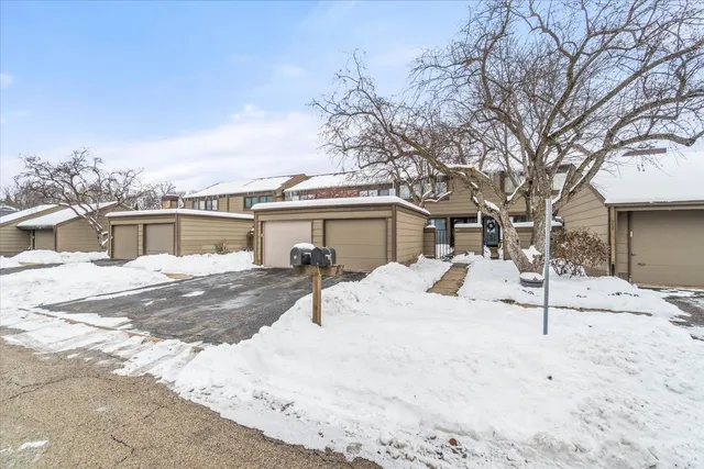 a white house that has a tree in front of it