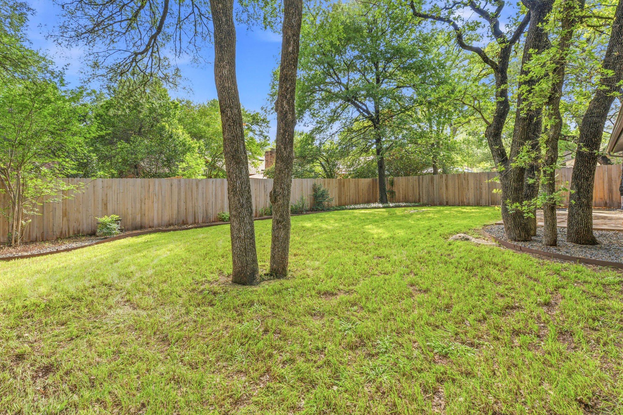 4705 Fieldstone Drive Austin, TX 78735 - Photo 24 of 34 a tall tree in middle of the garden