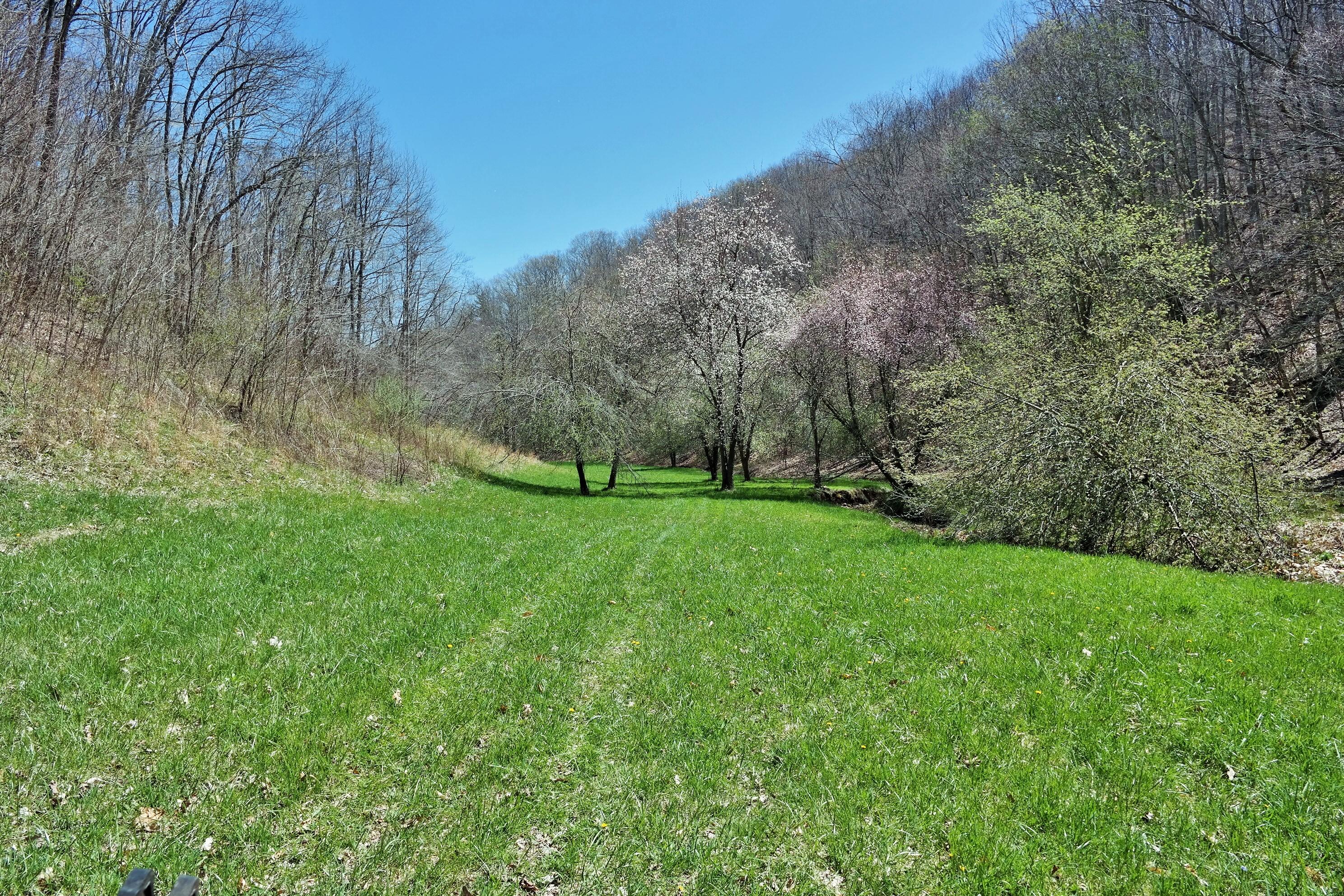 3678 Snake Run Road Alderson, WV 24910 - Photo 42 of 124 Gallery Image 42