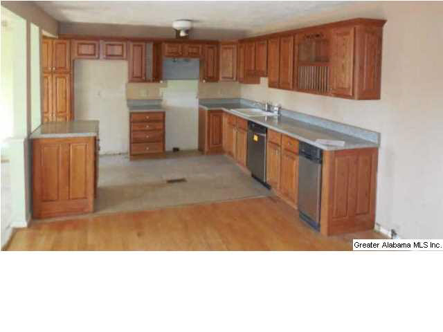 5095 Bluff Springs Road Ashland, AL 36251 - Photo 6 of 18