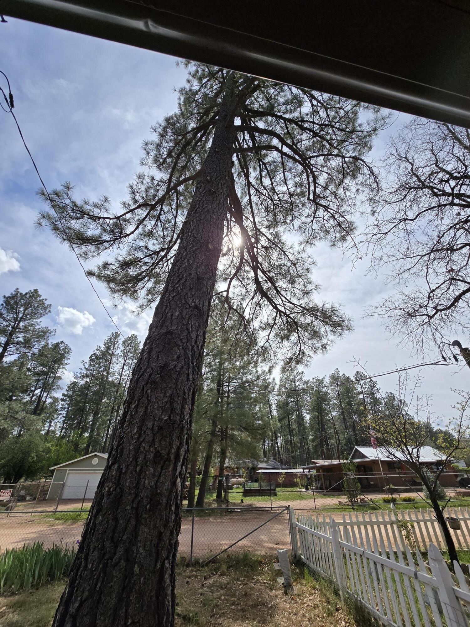 128 Thompson Road Payson, AZ 85541 - Photo 5 of 20 20260330_143253