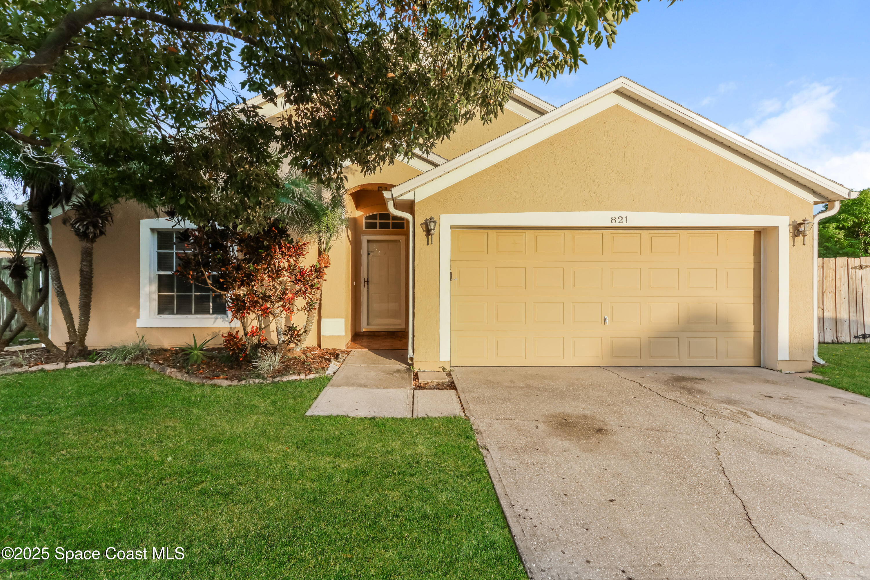 a view of backyard with a garden and tree