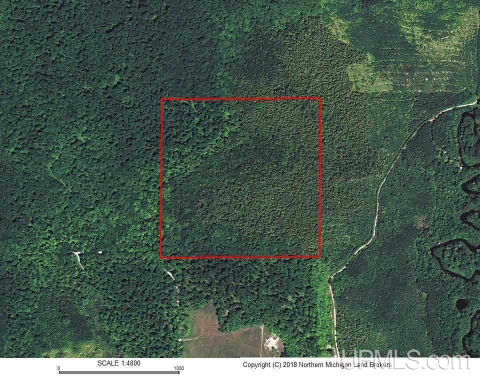40-acres Co Rd 467 Germfask, MI 49836 - Photo 21 of 22