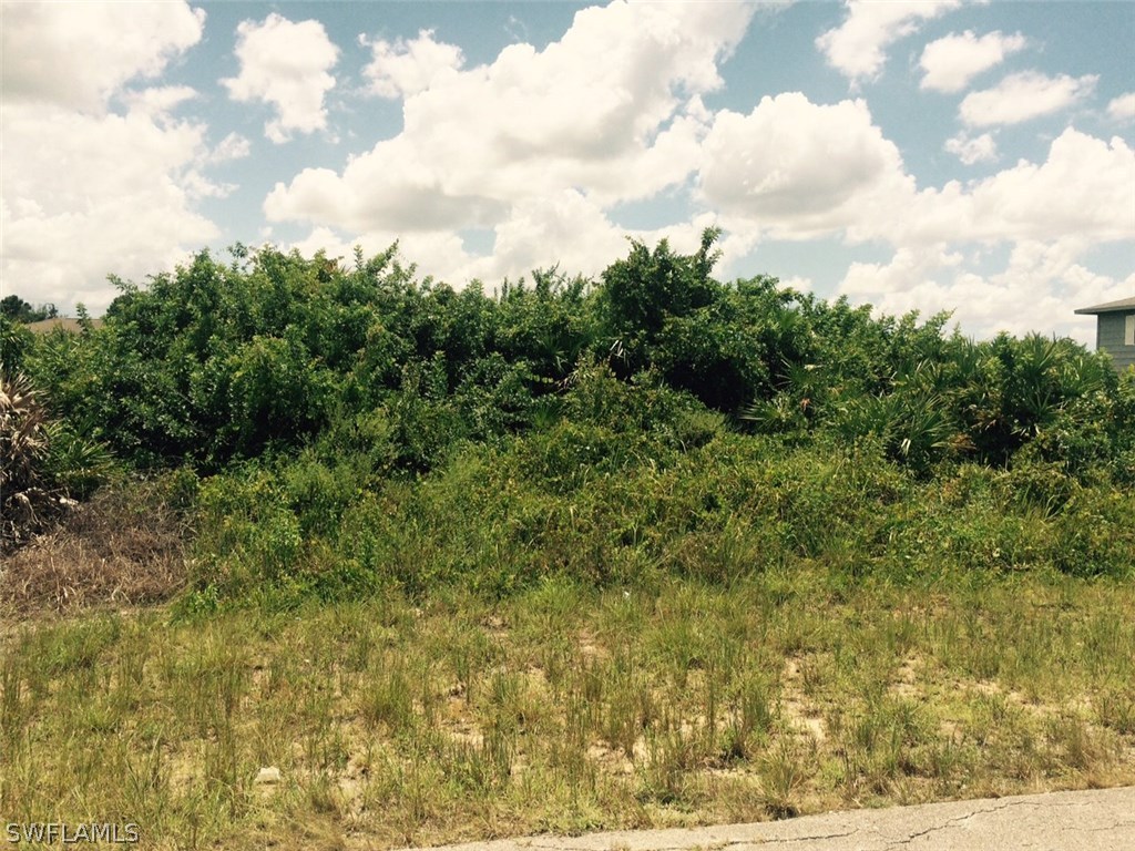 3207 12th Street Southwest Lehigh Acres, FL 33976 - Photo 2 of 6 a view of a bunch of trees